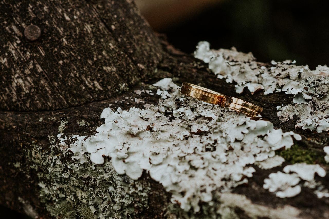 Close-up of gold rings on lichen-covered wood, capturing nature and romance.
